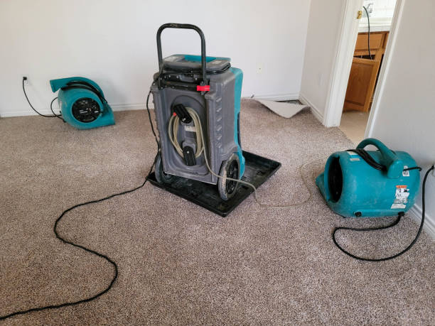 Best Flooded house restoration  in Ingram, TX
