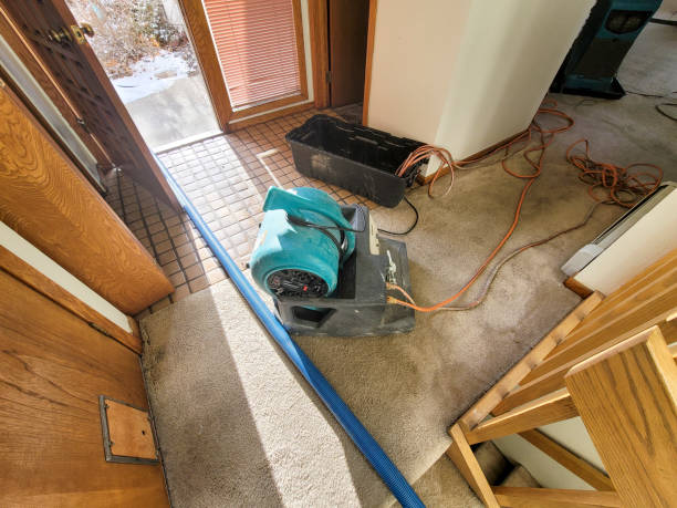 Best Basement water damage restoration  in Ingram, TX