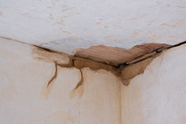 Best Flooded house restoration  in Ingram, TX