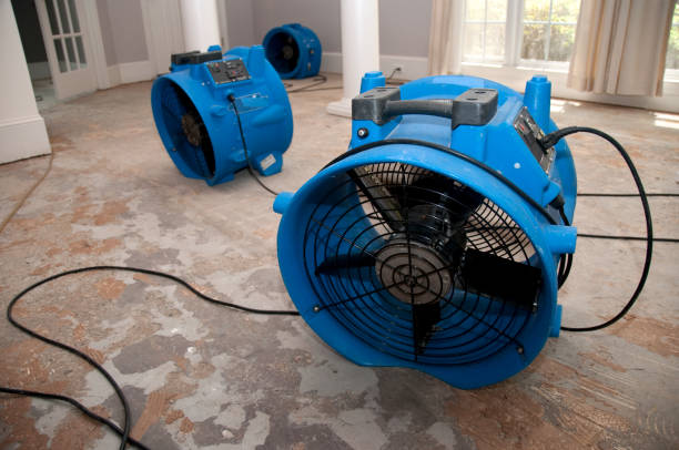 24/7 water damage repair in Ingram, TX