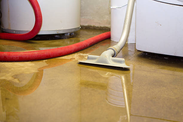 Best 24/7 water damage repair  in Ingram, TX