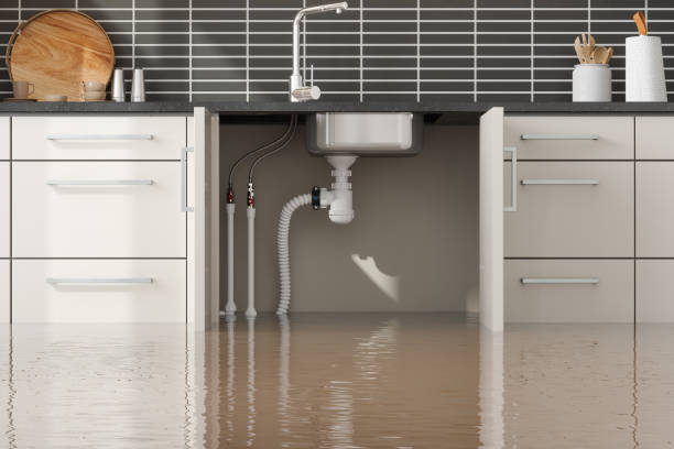  Ingram, TX Water damage restoration Pros
