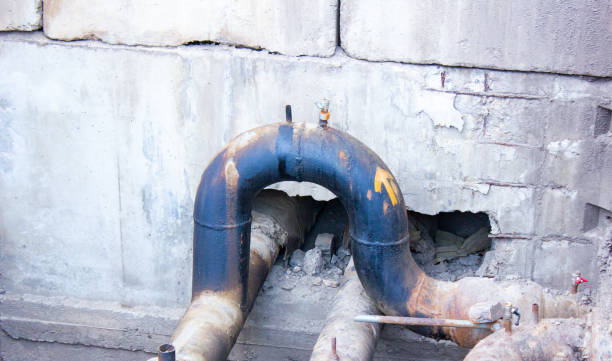 Best Professional water damage repair  in Ingram, TX